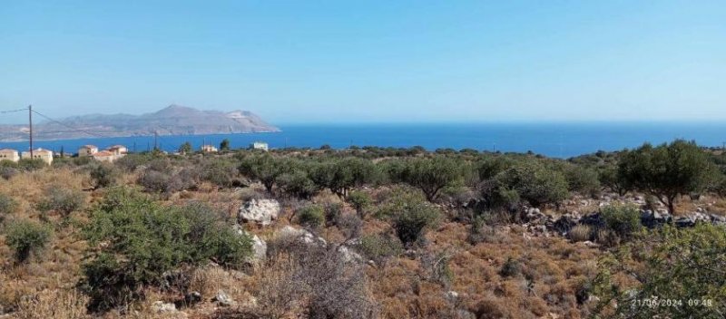 Kokkino Chorio Kreta, Kokkino Chorio: Grundstück mit uneingeschränktem Meerblick zu verkaufen Grundstück kaufen